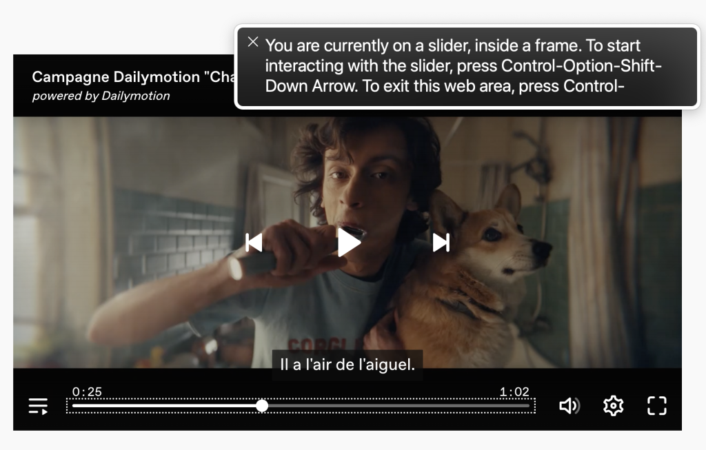 A screenshot of the video player being used by a screen reader.