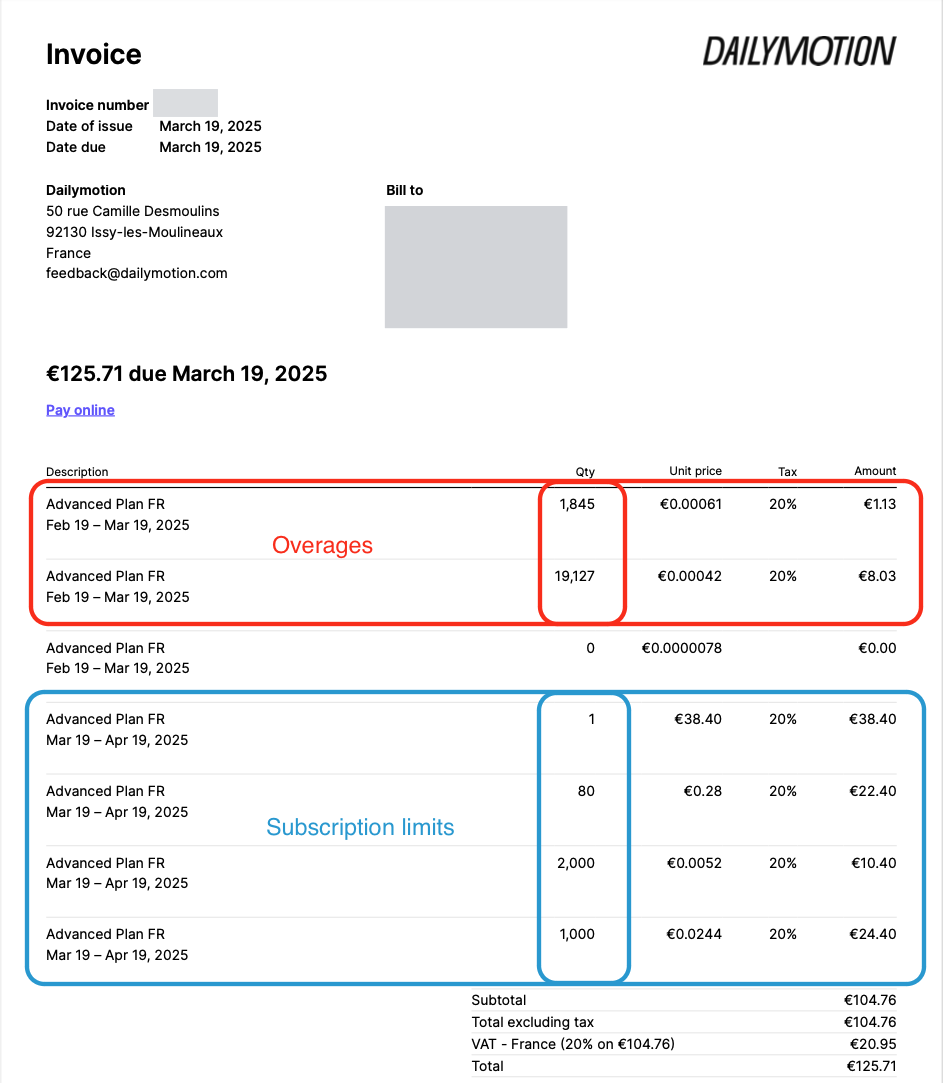 Invoice sample with overages